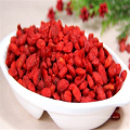 Китай сушеные оптом ягоды Годжи мушмула фрукты для продажи